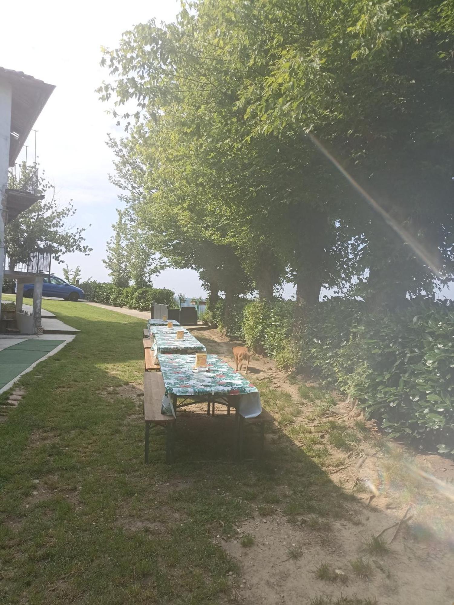 La Terrazza Daire Asti Dış mekan fotoğraf